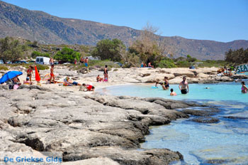 Elafonisi (Elafonissi) Kreta - Griekenland - Foto 134 - Foto van https://www.grieksegids.nl/fotos/elafonisi/normaal/elafonisi-kreta-134.jpg