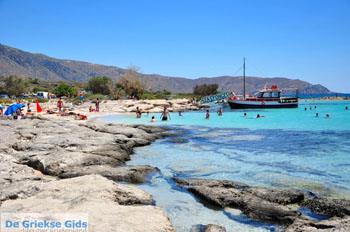 Elafonisi (Elafonissi) Kreta - Griekenland - Foto 135 - Foto van https://www.grieksegids.nl/fotos/elafonisi/normaal/elafonisi-kreta-135.jpg