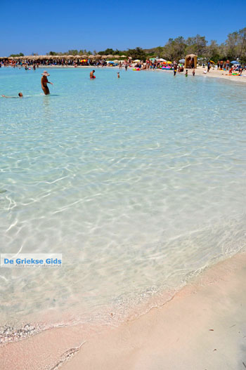 Elafonisi (Elafonissi) Kreta - Griekenland - Foto 137 - Foto van https://www.grieksegids.nl/fotos/elafonisi/normaal/elafonisi-kreta-137.jpg