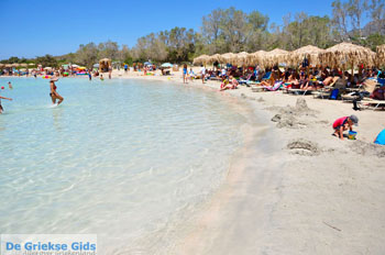Elafonisi (Elafonissi) Kreta - Griekenland - Foto 138 - Foto van https://www.grieksegids.nl/fotos/elafonisi/normaal/elafonisi-kreta-138.jpg