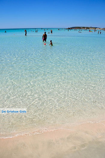 Elafonisi (Elafonissi) Kreta - Griekenland - Foto 142 - Foto van https://www.grieksegids.nl/fotos/elafonisi/normaal/elafonisi-kreta-142.jpg