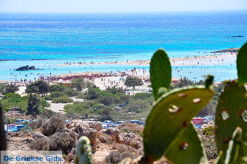 Elafonisi (Elafonissi) Kreta - Griekenland - Foto 158 - Foto van https://www.grieksegids.nl/fotos/elafonisi/normaal/elafonisi-kreta-158.jpg