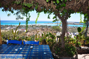 Elafonisi (Elafonissi) Kreta - Griekenland - Foto 161 - Foto van https://www.grieksegids.nl/fotos/elafonisi/normaal/elafonisi-kreta-161.jpg