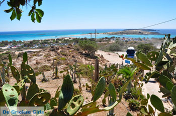 Elafonisi (Elafonissi) Kreta - Griekenland - Foto 165 - Foto van https://www.grieksegids.nl/fotos/elafonisi/normaal/elafonisi-kreta-165.jpg