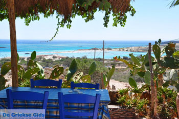 Elafonisi (Elafonissi) Kreta - Griechenland - Foto 171 - Foto GriechenlandWeb.de