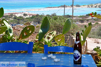 Elafonisi (Elafonissi) Kreta - Griekenland - Foto 173 - Foto van https://www.grieksegids.nl/fotos/elafonisi/normaal/elafonisi-kreta-173.jpg