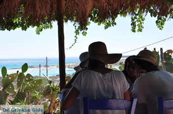 Elafonisi (Elafonissi) Kreta - Griekenland - Foto 177 - Foto van https://www.grieksegids.nl/fotos/elafonisi/normaal/elafonisi-kreta-177.jpg