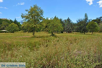 Agrinio - Departement Etoloakarnania -  Foto 9 - Foto van https://www.grieksegids.nl/fotos/etoloakarnania/agrinio/normaal/agrinio-009.jpg