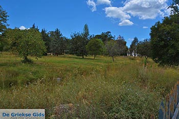 Agrinio - Departement Etoloakarnania -  Foto 10 - Foto van https://www.grieksegids.nl/fotos/etoloakarnania/agrinio/normaal/agrinio-010.jpg