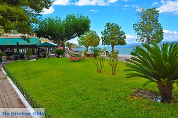 Amfilochia - Departement Etoloakarnania -  Foto 17 - Foto van https://www.grieksegids.nl/fotos/etoloakarnania/amfilochia/normaal/amfilochia-017.jpg