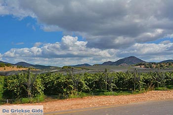 Astakos - Departement Etoloakarnania -  Foto 31 - Foto van https://www.grieksegids.nl/fotos/etoloakarnania/astakos/normaal/astakos-031.jpg