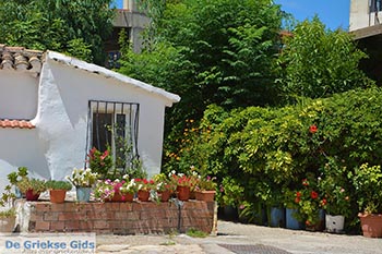 Etoliko - Departement Etoloakarnania -  Foto 24 - Foto van https://www.grieksegids.nl/fotos/etoloakarnania/etolia/normaal/etolia-024.jpg