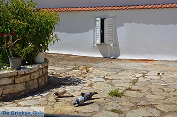 Etoliko - Departement Etoloakarnania -  Foto 26 - Foto van https://www.grieksegids.nl/fotos/etoloakarnania/etolia/normaal/etolia-026.jpg