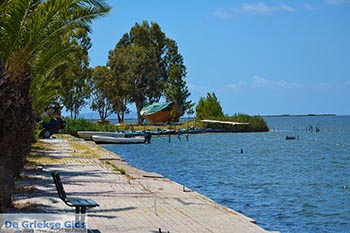 Etoliko - Departement Etoloakarnania -  Foto 30 - Foto van https://www.grieksegids.nl/fotos/etoloakarnania/etolia/normaal/etolia-030.jpg