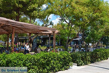 Messolongi - Departement Etoloakarnania -  Foto 10 - Foto van https://www.grieksegids.nl/fotos/etoloakarnania/messolongi/normaal/messolongi-010.jpg