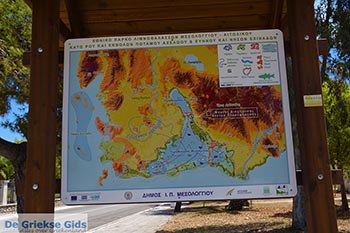 Messolongi - Departement Etoloakarnania -  Foto 26 - Foto van https://www.grieksegids.nl/fotos/etoloakarnania/messolongi/normaal/messolongi-026.jpg