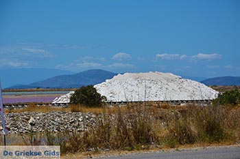 Messolongi - Departement Etoloakarnania -  Foto 38 - Foto van https://www.grieksegids.nl/fotos/etoloakarnania/messolongi/normaal/messolongi-038.jpg