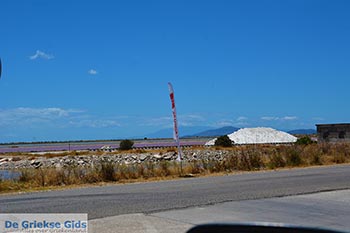 Messolongi - Departement Etoloakarnania -  Foto 39 - Foto van https://www.grieksegids.nl/fotos/etoloakarnania/messolongi/normaal/messolongi-039.jpg