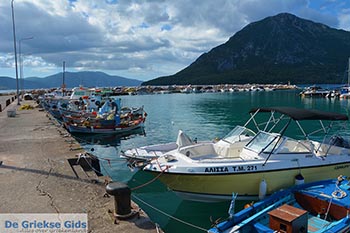 Mytikas - Departement Etoloakarnania -  Foto 16 - Foto van https://www.grieksegids.nl/fotos/etoloakarnania/mytikas/normaal/mytikas-016.jpg