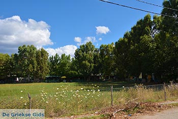 Mytikas - Departement Etoloakarnania -  Foto 21 - Foto van https://www.grieksegids.nl/fotos/etoloakarnania/mytikas/normaal/mytikas-021.jpg