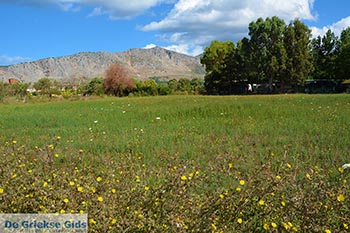 Mytikas - Departement Etoloakarnania -  Foto 26 - Foto van https://www.grieksegids.nl/fotos/etoloakarnania/mytikas/normaal/mytikas-026.jpg