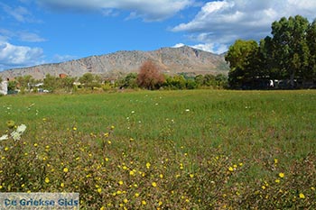 Mytikas - Departement Etoloakarnania -  Foto 27 - Foto van https://www.grieksegids.nl/fotos/etoloakarnania/mytikas/normaal/mytikas-027.jpg