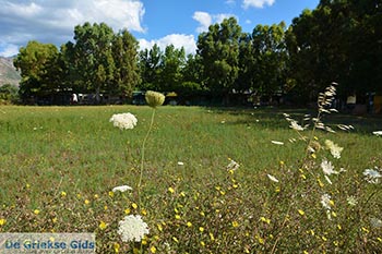 Mytikas - Departement Etoloakarnania -  Foto 28 - Foto van https://www.grieksegids.nl/fotos/etoloakarnania/mytikas/normaal/mytikas-028.jpg