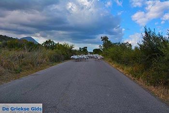 Paleros - Departement Etoloakarnania -  Foto 1 - Foto van https://www.grieksegids.nl/fotos/etoloakarnania/paleros/normaal/paleros-001.jpg