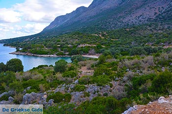 Paleros - Departement Etoloakarnania -  Foto 14 - Foto van https://www.grieksegids.nl/fotos/etoloakarnania/paleros/normaal/paleros-014.jpg