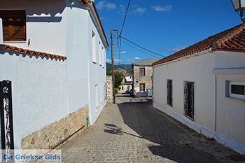 Vonitsa - Departement Etoloakarnania -  Foto 29 - Foto van https://www.grieksegids.nl/fotos/etoloakarnania/vonitsa/normaal/vonitsa-029.jpg