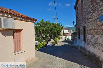 Vonitsa - Departement Etoloakarnania -  Foto 31 - Foto van https://www.grieksegids.nl/fotos/etoloakarnania/vonitsa/normaal/vonitsa-031.jpg