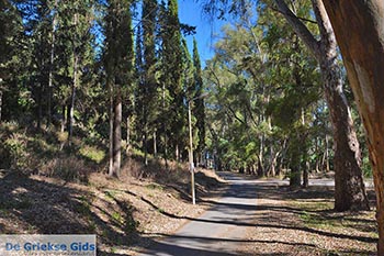 Vonitsa - Departement Etoloakarnania -  Foto 38 - Foto van https://www.grieksegids.nl/fotos/etoloakarnania/vonitsa/normaal/vonitsa-038.jpg