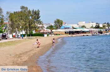 Eretria | Evia Griekenland - foto 003 - Foto van https://www.grieksegids.nl/fotos/evia/mid/evia-grieksegids-011.jpg