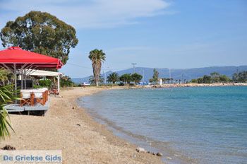 Eretria | Evia Griekenland - foto 017 - Foto van https://www.grieksegids.nl/fotos/evia/mid/evia-grieksegids-025.jpg