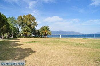 Eretria | Evia Griekenland - foto 020 - Foto van https://www.grieksegids.nl/fotos/evia/mid/evia-grieksegids-028.jpg