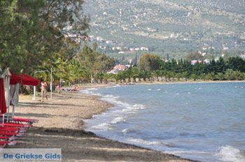 Eretria | Evia Griekenland - foto 022 - Foto van https://www.grieksegids.nl/fotos/evia/mid/evia-grieksegids-030.jpg