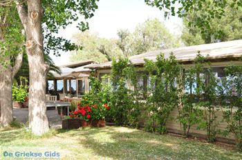 Eretria | Evia Griekenland - foto 023 - Foto van https://www.grieksegids.nl/fotos/evia/mid/evia-grieksegids-031.jpg