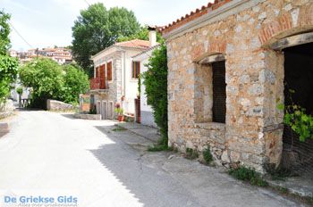 Avlonari | Evia Griekenland - foto 003 - Foto van https://www.grieksegids.nl/fotos/evia/mid/evia-grieksegids-036.jpg