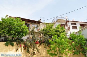 Avlonari | Evia Griekenland - foto 009 - Foto van https://www.grieksegids.nl/fotos/evia/mid/evia-grieksegids-042.jpg