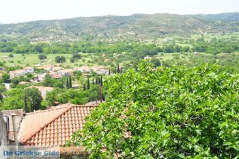 Avlonari | Evia Griekenland - foto 011 - Foto van https://www.grieksegids.nl/fotos/evia/mid/evia-grieksegids-044.jpg