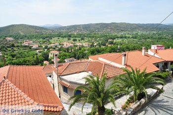 Avlonari | Evia Griekenland - foto 016 - Foto van https://www.grieksegids.nl/fotos/evia/mid/evia-grieksegids-049.jpg