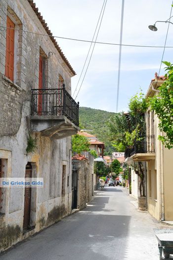Kymi | Evia Griekenland - foto 013 - Foto van https://www.grieksegids.nl/fotos/evia/mid/evia-grieksegids-068.jpg