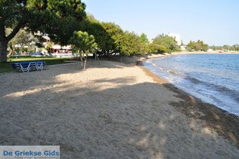 Hotel Negroponte nabij Eretria | Evia Griekenland - foto 004 - Foto van https://www.grieksegids.nl/fotos/evia/mid/evia-grieksegids-140.jpg