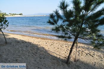 Hotel Negroponte nabij Eretria | Evia Griekenland - foto 005 - Foto van https://www.grieksegids.nl/fotos/evia/mid/evia-grieksegids-141.jpg