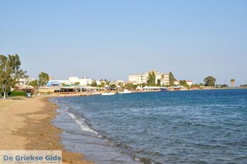 Eretria | Evia Griekenland - foto 026 - Foto van https://www.grieksegids.nl/fotos/evia/mid/evia-grieksegids-142.jpg