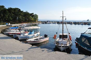 Eretria | Evia Griekenland - foto 027 - Foto van https://www.grieksegids.nl/fotos/evia/mid/evia-grieksegids-143.jpg