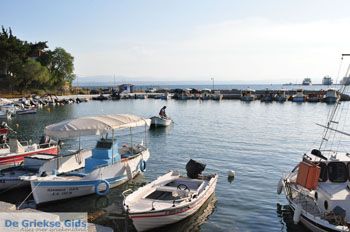 Eretria | Evia Griekenland - foto 028 - Foto van https://www.grieksegids.nl/fotos/evia/mid/evia-grieksegids-144.jpg