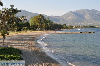 Eretria | Evia Griekenland - foto 030 - Foto van https://www.grieksegids.nl/fotos/evia/mid/evia-grieksegids-146.jpg