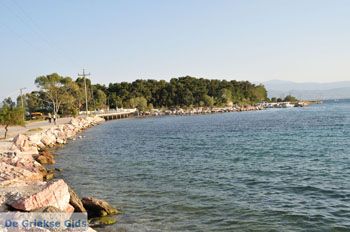 Eretria | Evia Griekenland - foto 032 - Foto van https://www.grieksegids.nl/fotos/evia/mid/evia-grieksegids-148.jpg