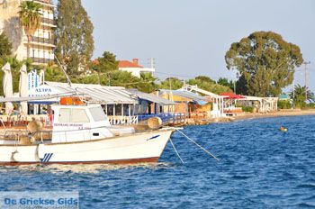 Eretria | Evia Griekenland - foto 044 - Foto van https://www.grieksegids.nl/fotos/evia/mid/evia-grieksegids-160.jpg